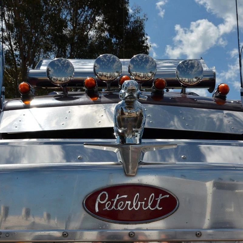 Automobilio kapoto aksesuaras
