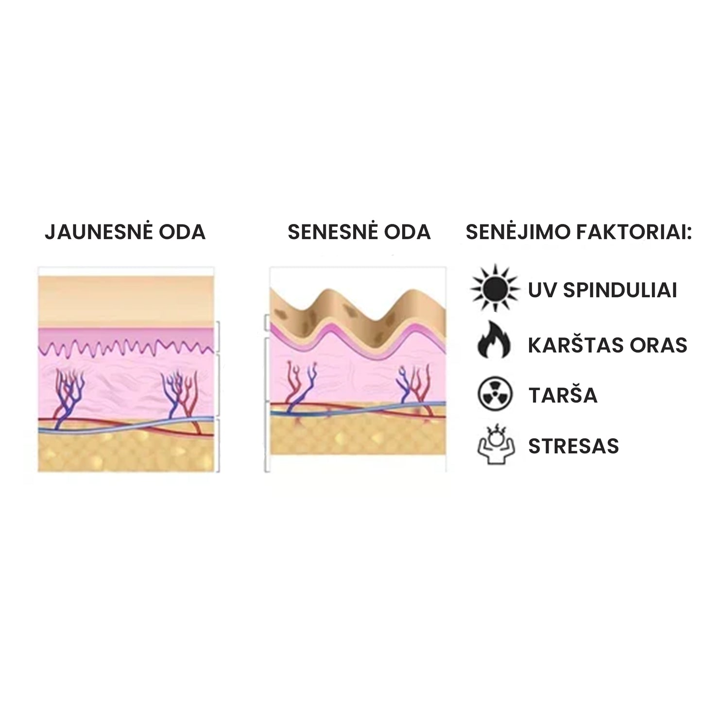 TurmaX™ ciberžolių veido serumas