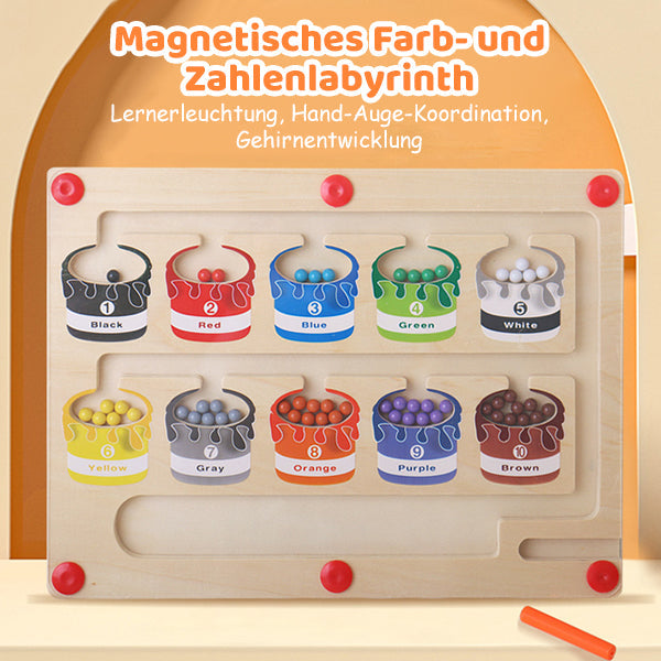 Magnetinis karoliukų labirintas