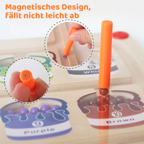 Magnetinis karoliukų labirintas