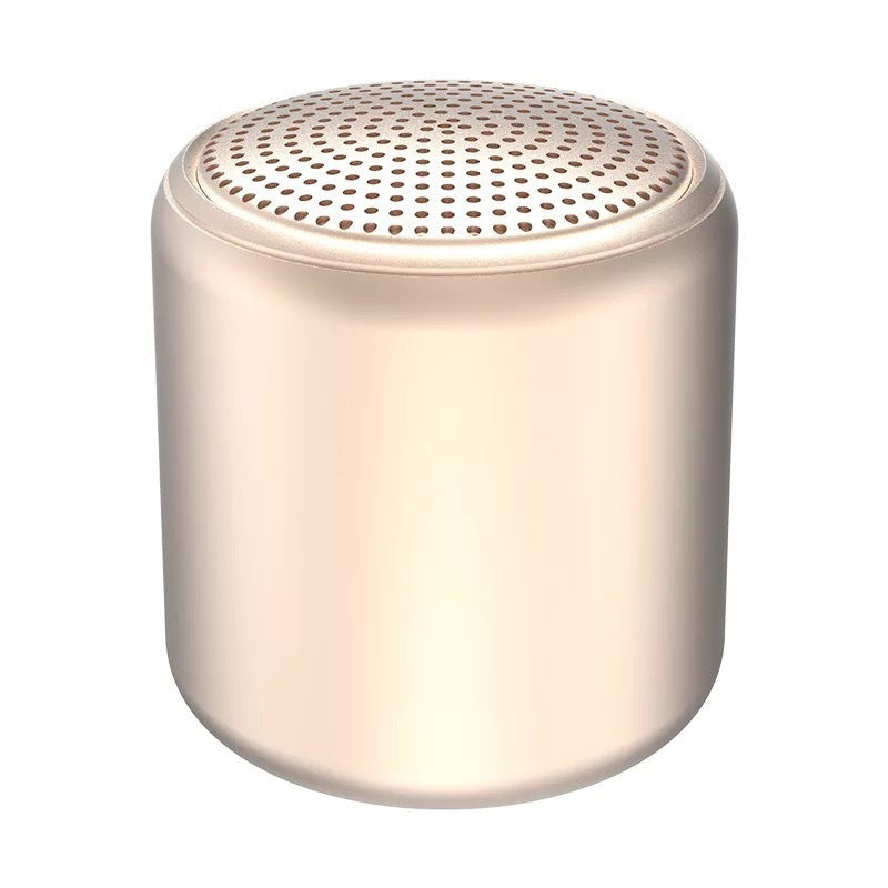 Nešiojama Bluetooth garso kolonėlė