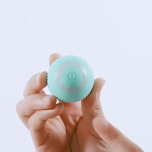 MeowMotion® - išmanusis kamuoliukas katėms ir šunimis