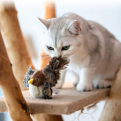 Interaktyvus kačių žaislas