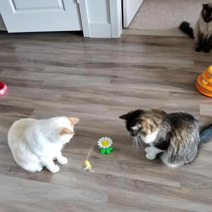 Interaktyvus žaislas katėms