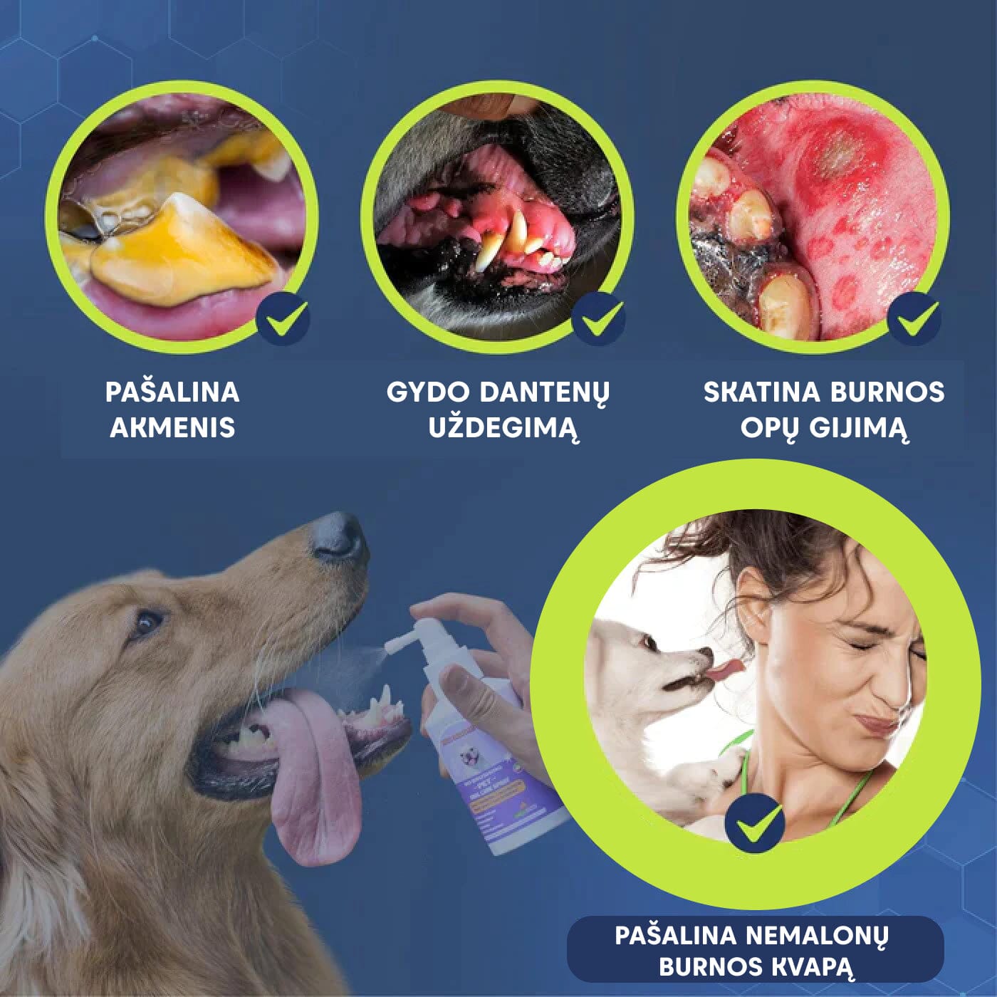 Naminių gyvūnų dantų ir burnos priežIūros priemonė