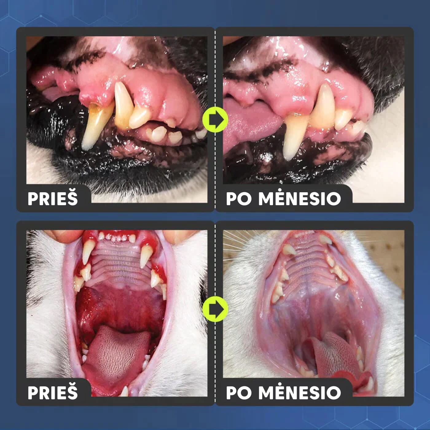 Naminių gyvūnų dantų ir burnos priežIūros priemonė